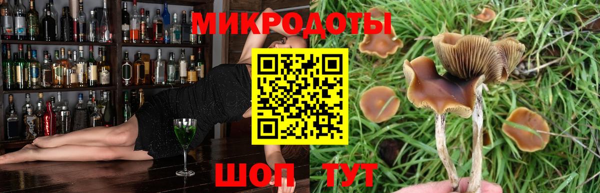 Галлюциногенные грибы Cubensis  Галлюциногенные грибы мухоморы  Светлоград  Вход с VPN 