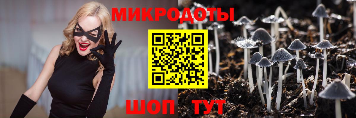 Галлюциногенные грибы мухоморы Светлоград